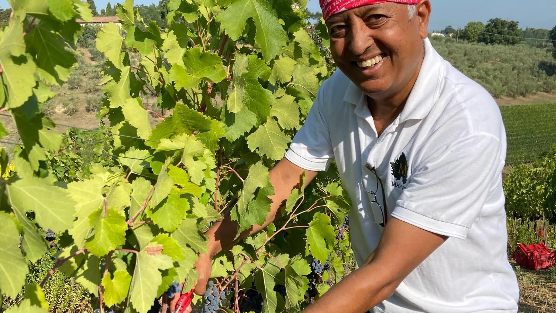 לינה וארוחת בוקר Montepulciano Stazione The Grapevine By Manvi