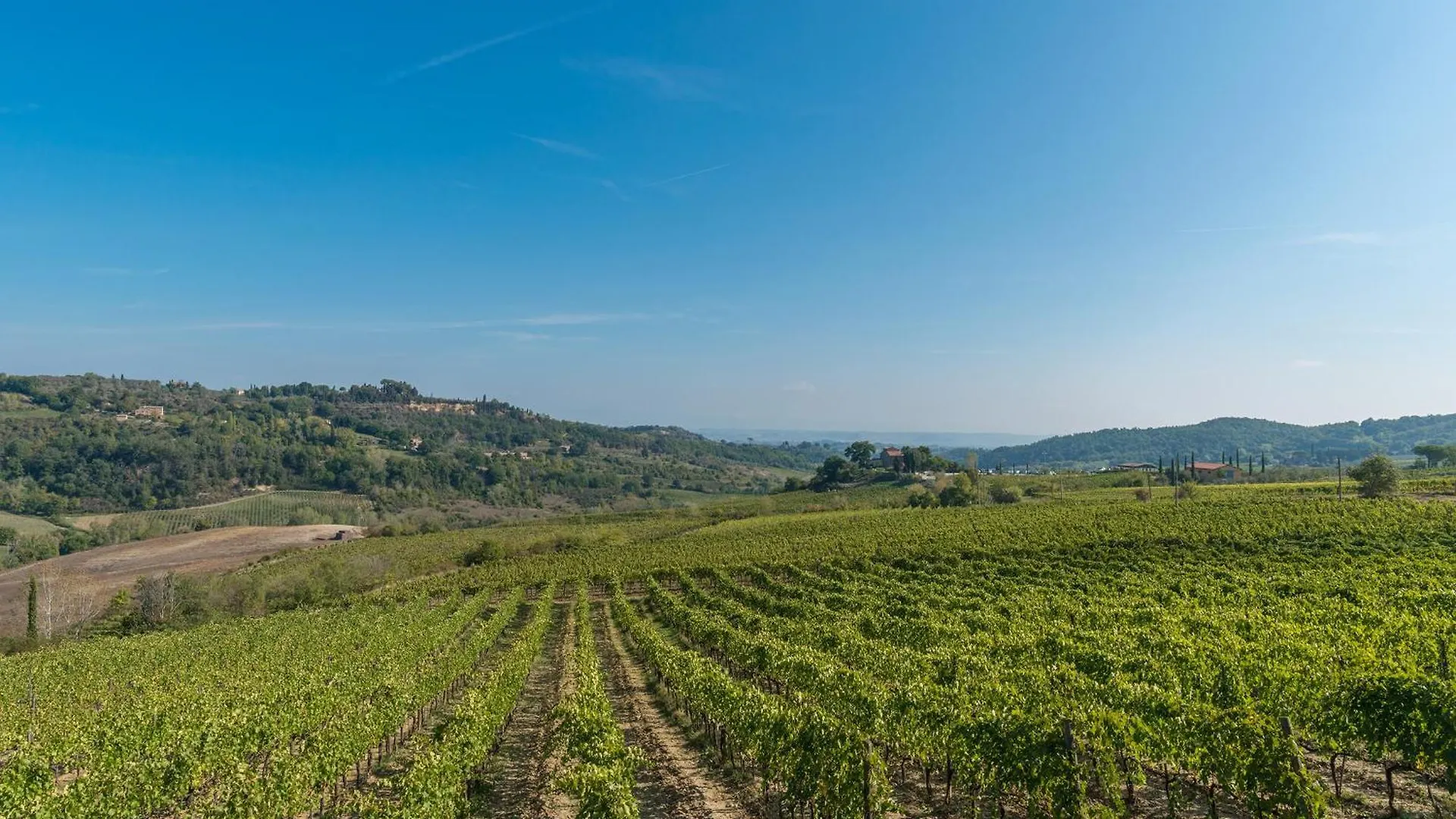 לינה וארוחת בוקר Montepulciano Stazione The Grapevine By Manvi
