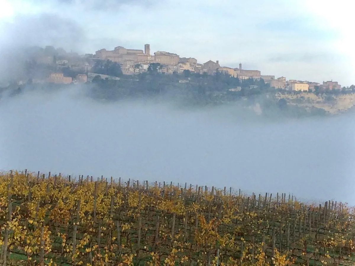 לינה וארוחת בוקר Montepulciano Stazione The Grapevine By Manvi