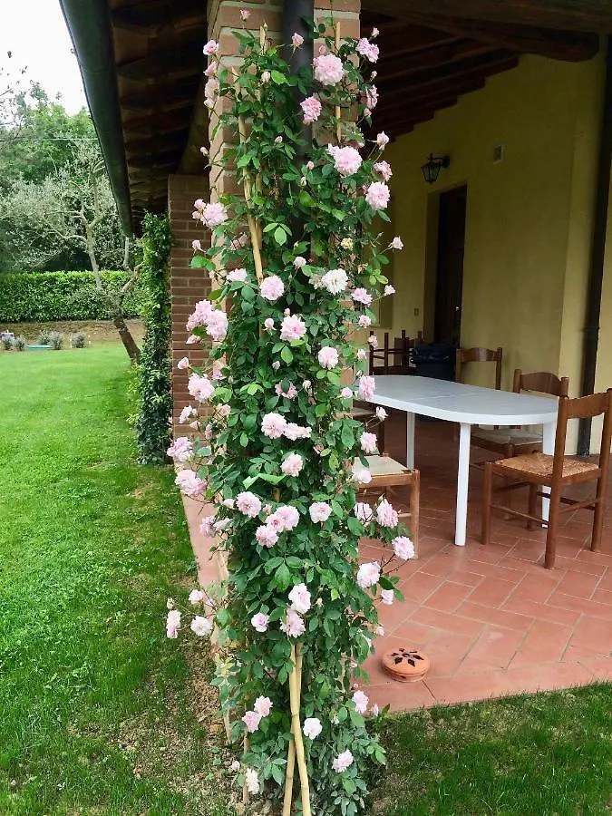 לינה וארוחת בוקר Montepulciano Stazione The Grapevine By Manvi איטליה